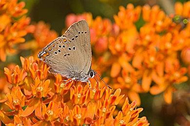 《星之海》免费DLC《钟表匠的痛苦》上线 本体限时折扣同步开启