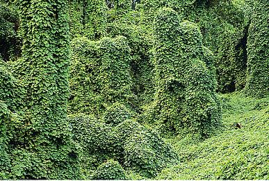 《块魂》之父新作《to a T》试玩发布 奇趣创意玩法